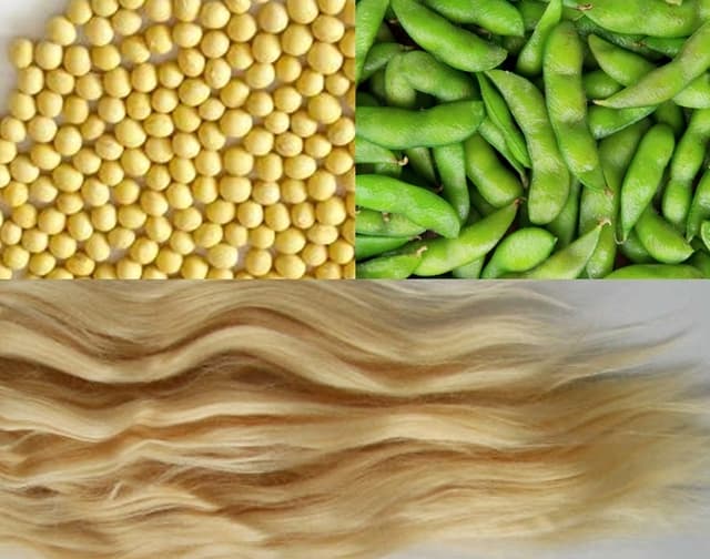 Soy Protein Fiber